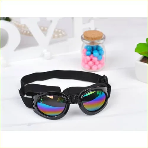 Lunettes pliables et ajustable pour la protection oculaire d'un petit chien