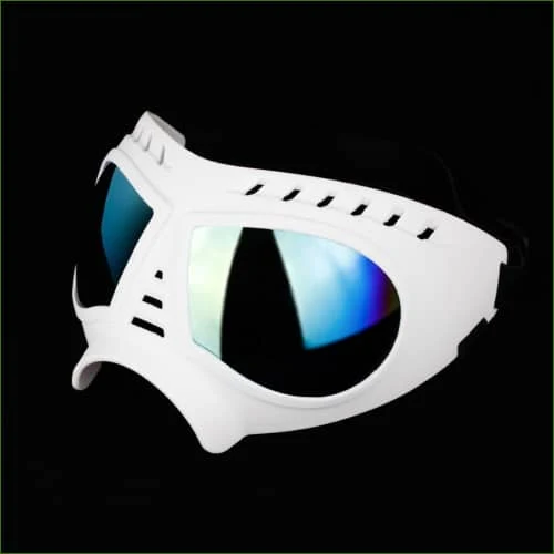 Lunettes moto pour chien anti uv, ajustables