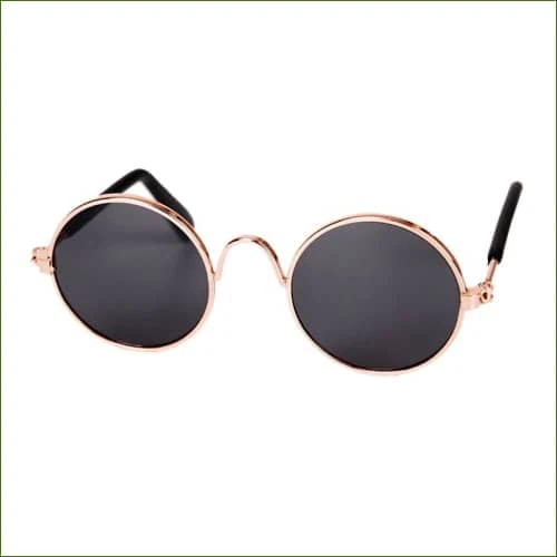 Lunettes de soleil rondes pour petit chien
