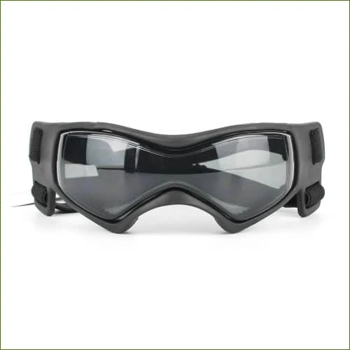 Lunettes grand chien anti-uv et imperméables