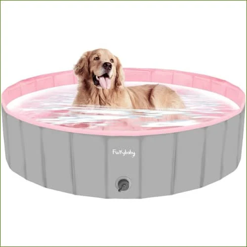 Piscine pour grand chien pliable, pour saison d'été