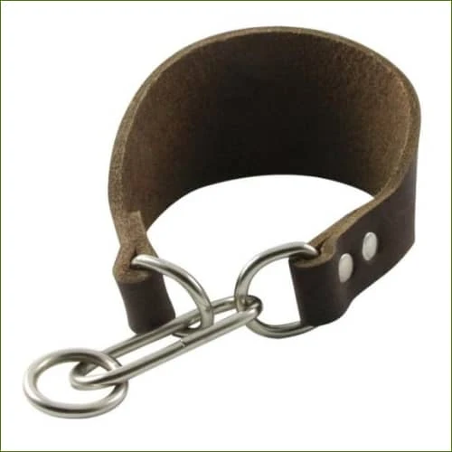 Collier martingale pour lévriers - sécurité, confort et contrôle sans contrainte