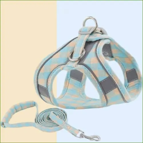 Harnais poids maxi du chien 2 kg avec sa laisse assortie
