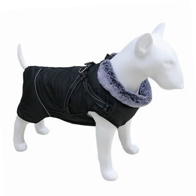 Veste imperméable pour grand chien avec harnais intégré, pensée pour la traction