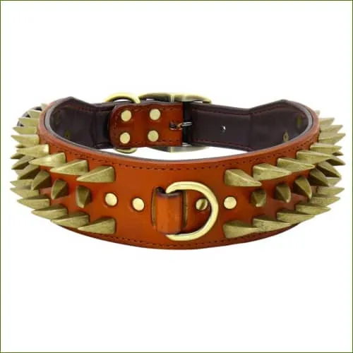 Collier large avec pointes métalliques pour molosses - en cuir