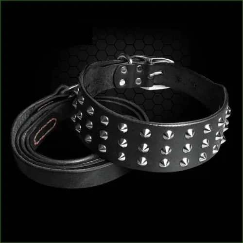 Collier épais et solide avec pointes décoratives en acier avec sa laisse assortie