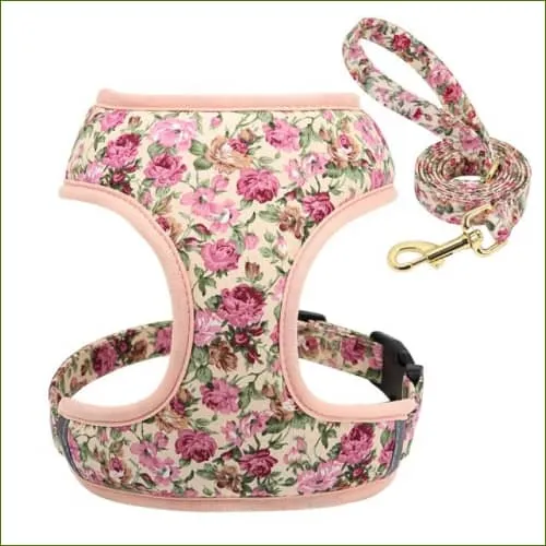 Harnais pour animaux de compagnie avec impression design et laisse assortie