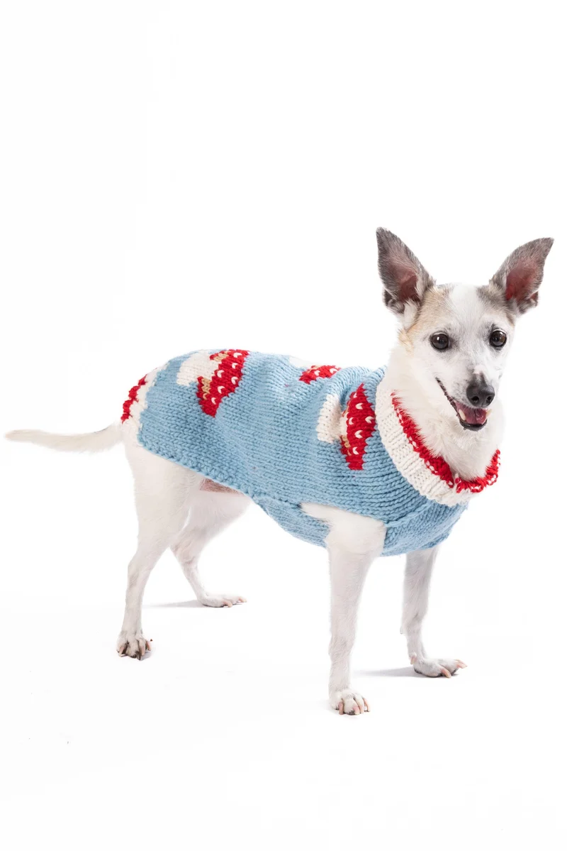 Pull en laine Mushroom