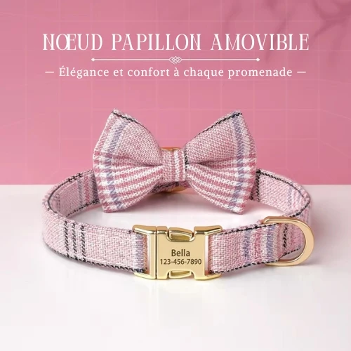 Collier chien gravé style écossais avec boucle personnalisée