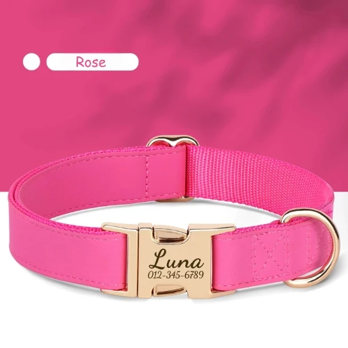 Collier chien gravé style sobre avec boucle personnalisée