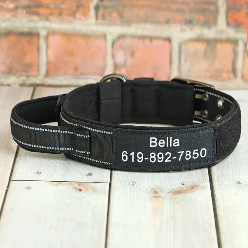 Collier personnalisé chien avec poignée