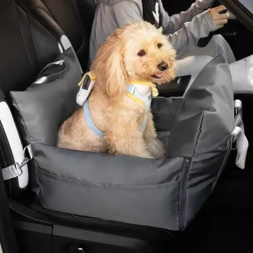 Siege auto pour chien | Nomade+
