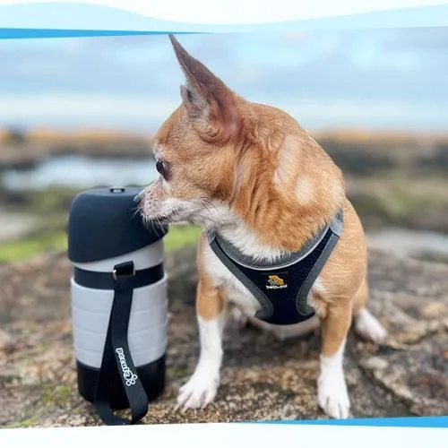 Gourde pour chiens 2 en 1