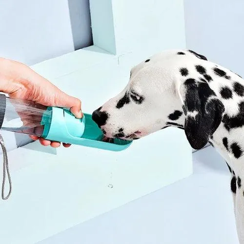 Gourde chien avec filtre