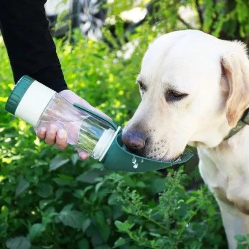 Gourde pour chien 2 en 1