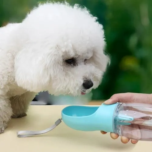 Gourde pour chien 2 en 1