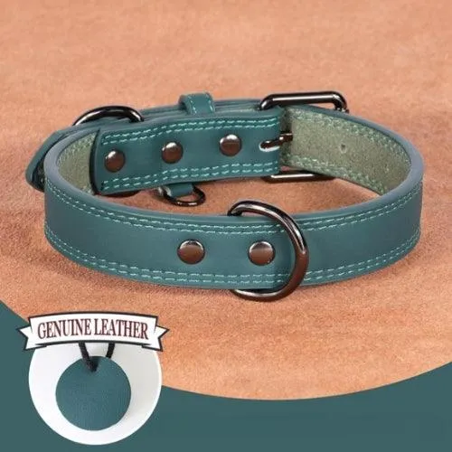 Collier en cuir pour chien élégant