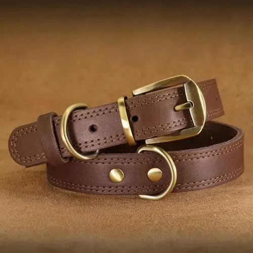 Collier pour grand chien en cuir