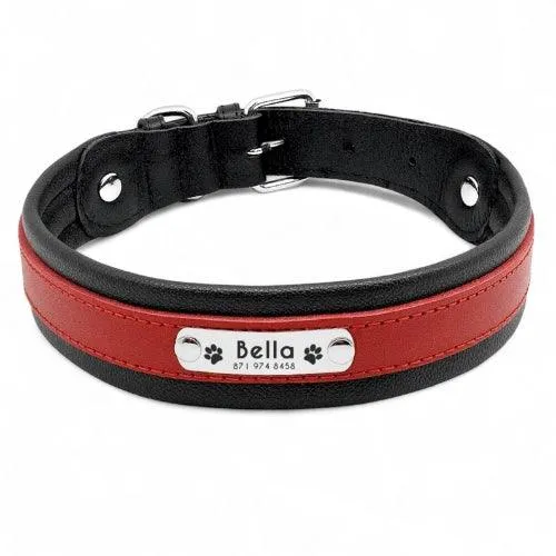 Collier chien personnalisé en cuir rembourré