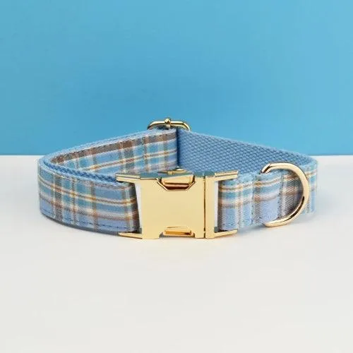Collier chien gravé en velours chic avec boucle personnalisée