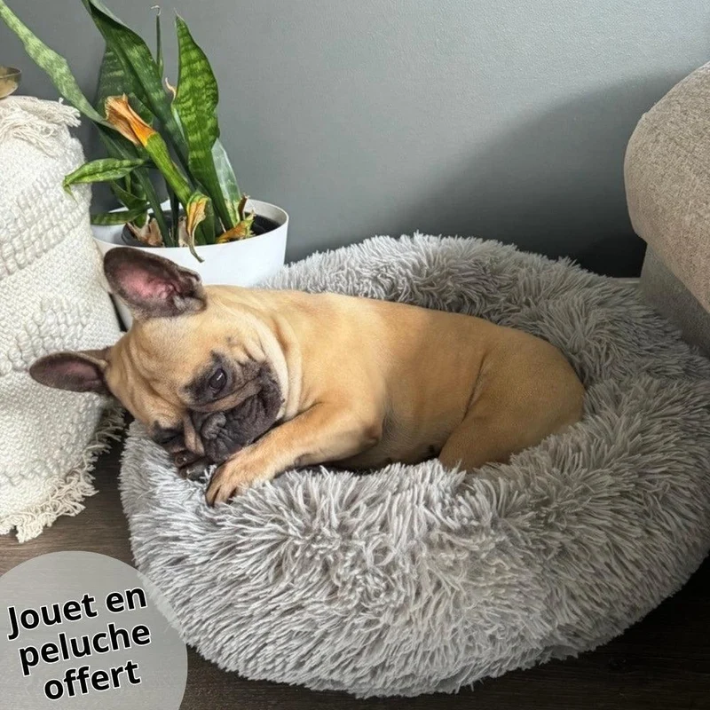 CosyPaw™ | Coussin Anti-Stress Pour Chien + Jouet en Peluche Offert