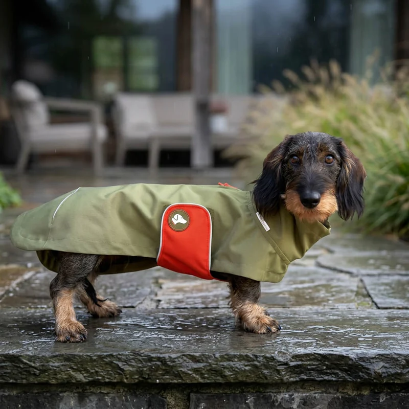 Vêtement Teckel Imperméable Cooper Vert