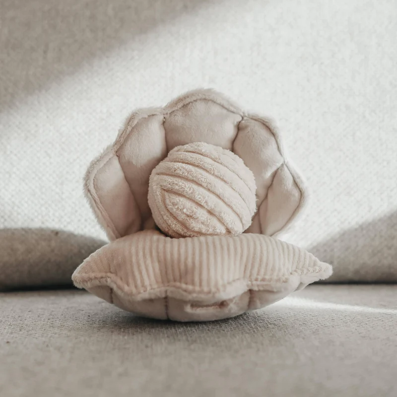 Jouet Oyster Pop