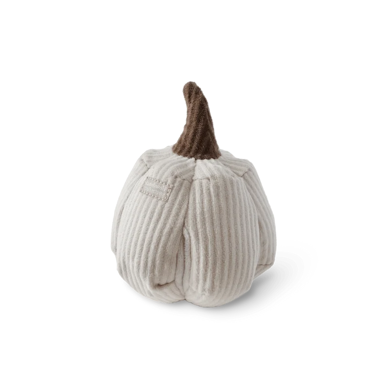 Jouet de fouille Citrouille