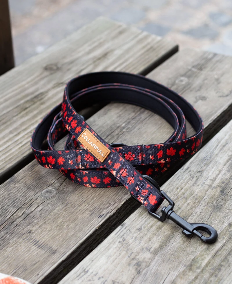 Laisse ajustable Autumn leaves