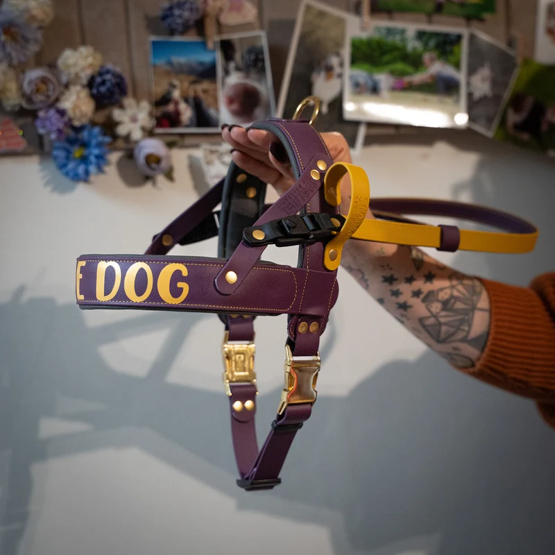 Harnais en T Service Dog — Chien d'assistance (sur demande)