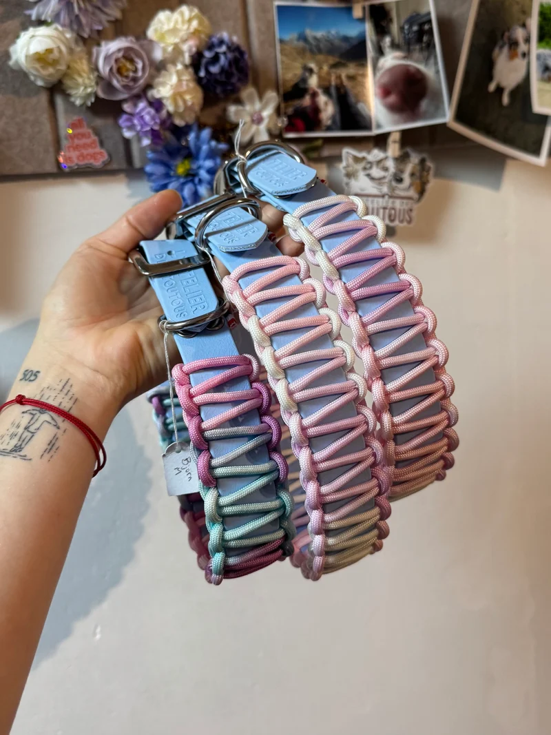 Collier Meije — Sommet emblématique des Alpes