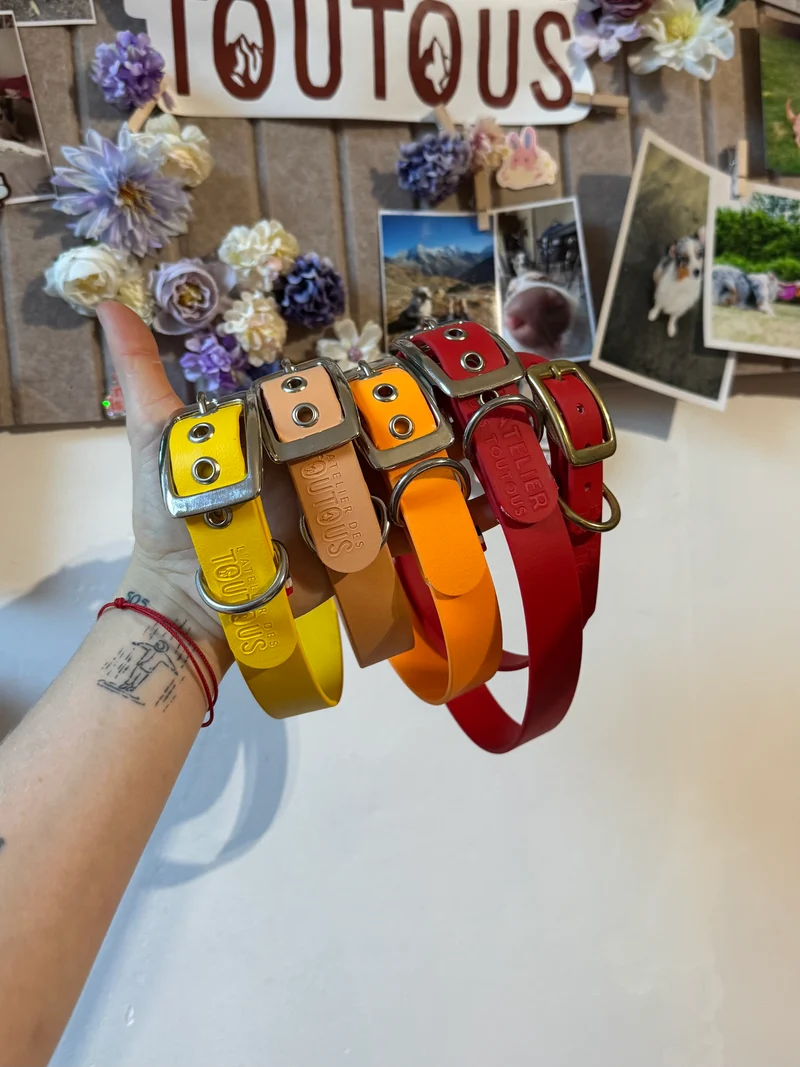 Collier Etna · BioThane® 25 mm coloris au choix