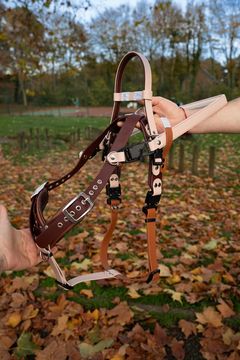 Harnais Y dos parallèle Service Dog — Chien d'assistance