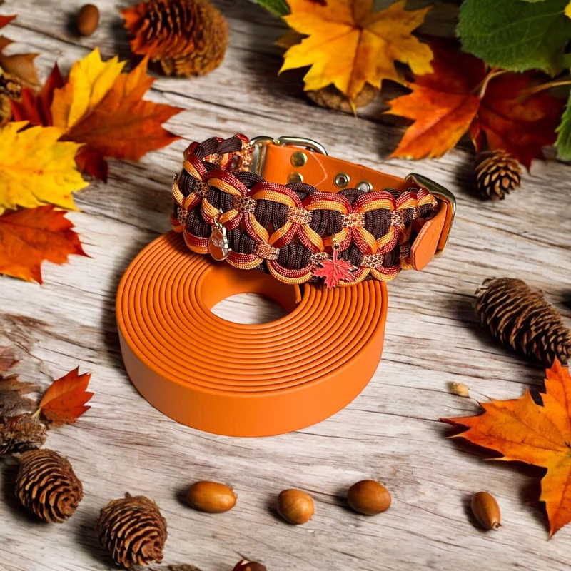 Collier Fuji - Édition d'automne 🍁