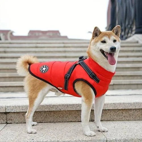 Manteau pour chien