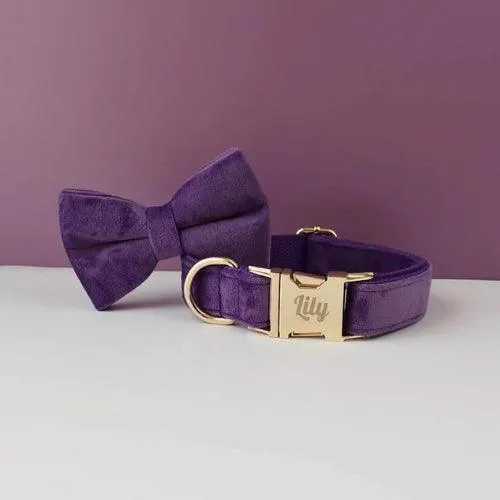 Collier chien gravé élégance velours avec boucle personnalisée