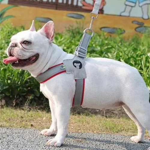 Harnais pour chien | Cozzy™