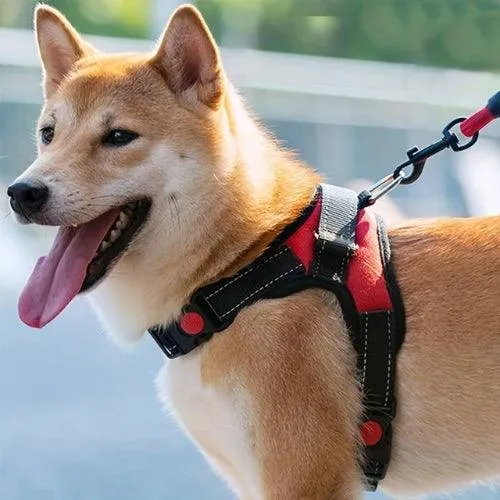 Harnais anti traction | PawPro™