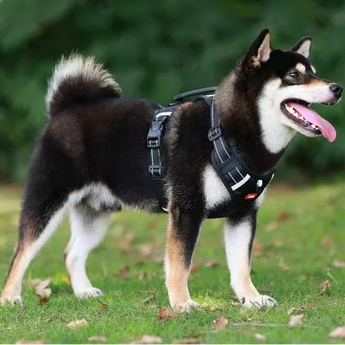 Harnais chien anti traction | ZenPaws™
