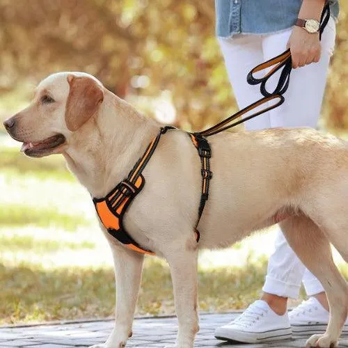 Harnais anti traction chien | CHICWALK™