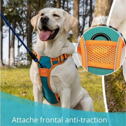 Harnais chien anti traction | BESTWALK™