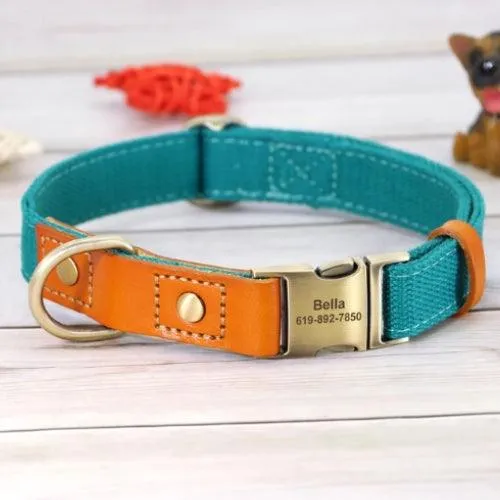 Collier chien gravé bicolore chic avec boucle personnalisée