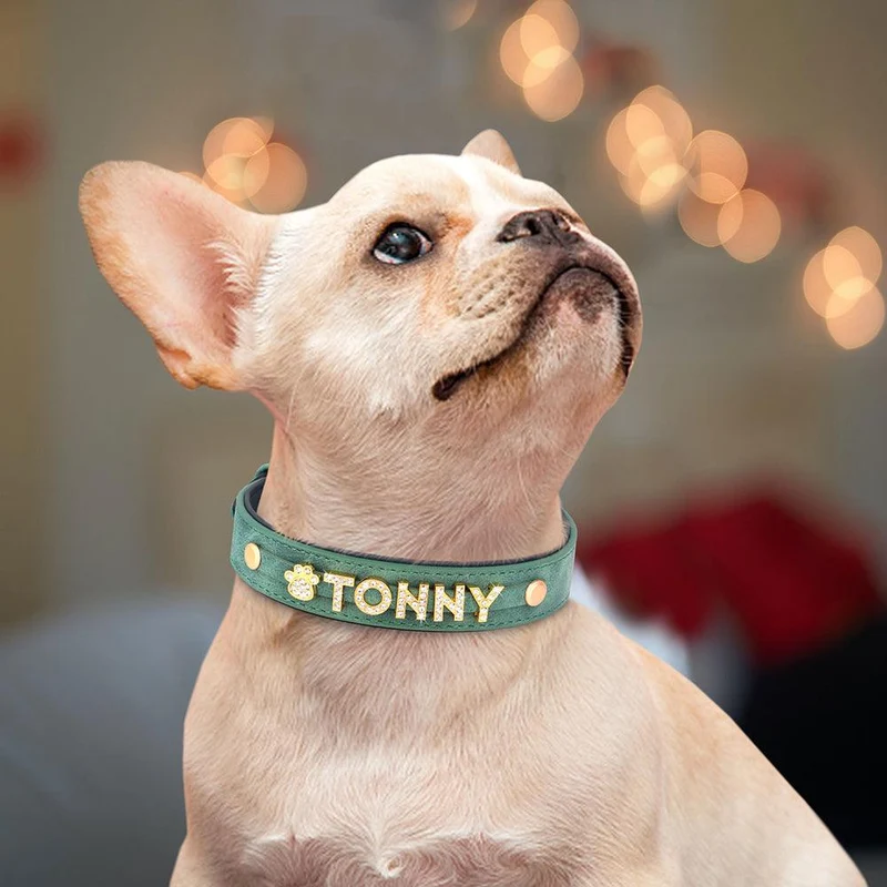 Collier personnalisé chien avec lettres dorées strass et breloques