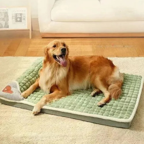 Lit pour chien | CHICBED™