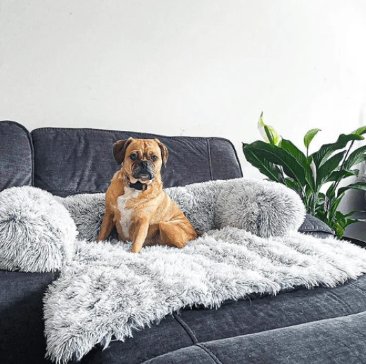 Coussin chien dehoussable | FURRY™