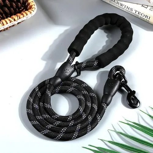 Laisse chien | CHICLEASH™