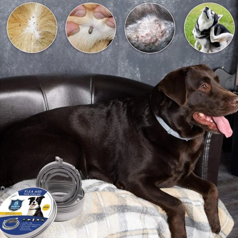 Collier anti puce chien│FLEAPROTECT™