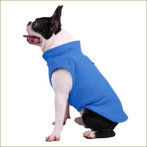 Pull polaire pour chien avec attache bleu ou rose