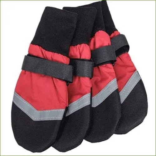 Chaussons pour chiens souples - protection des pattes, confort et liberté de mouvement