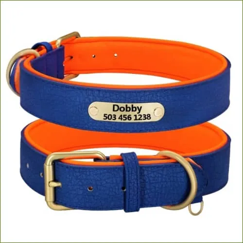 Collier personnalisé en cuir de luxe bicolore pour chien